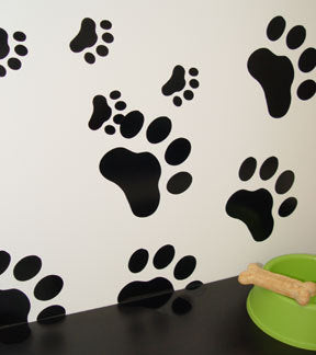 Paw Prints Everywhere!