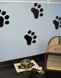 Paw Prints Everywhere!