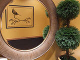 Birds & Branches