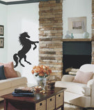 Rearing Horse
